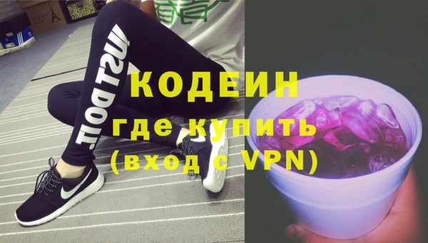 шишки Верхний Тагил