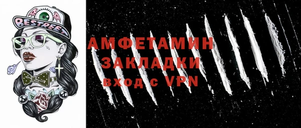 шишки Верхний Тагил