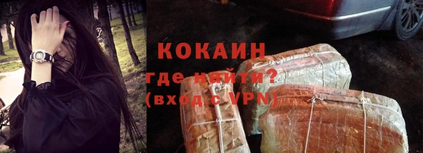 шишки Верхний Тагил