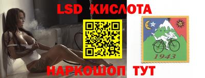 mdpv Славгород