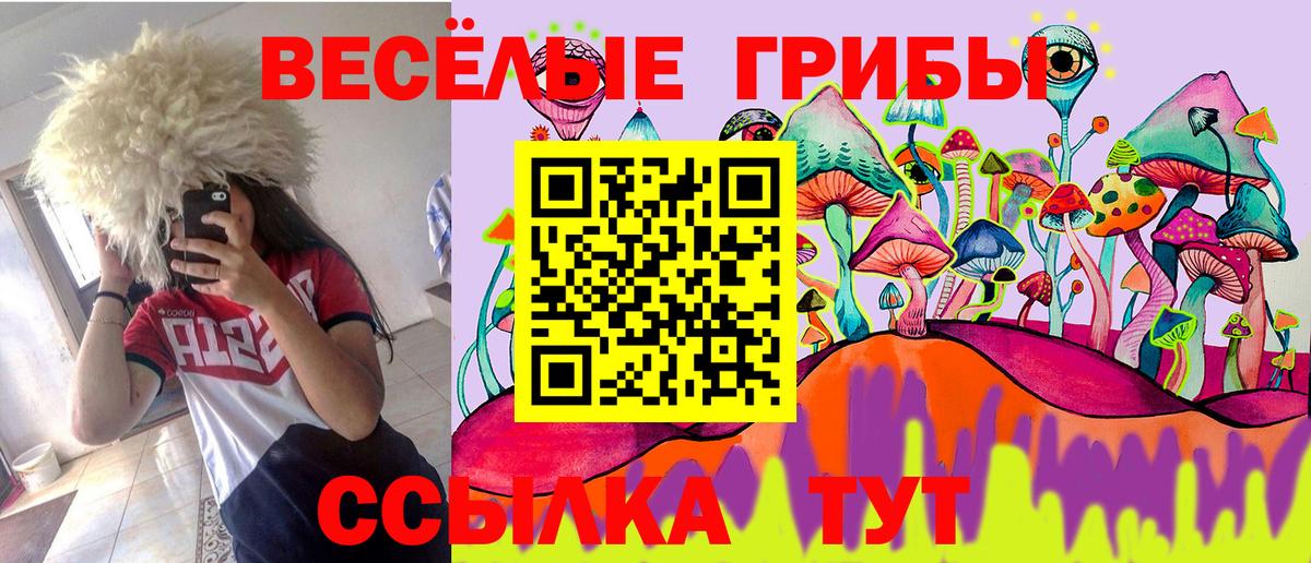 Псилоцибиновые грибы MAGIC MUSHROOMS Рузаевка