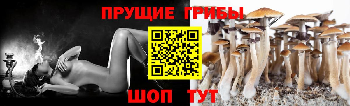 Псилоцибиновые грибы Psilocybine cubensis  Вход с VPN  Рузаевка 